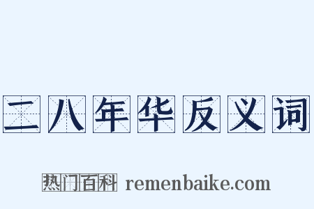 二八年华反义词是什么意思的图片